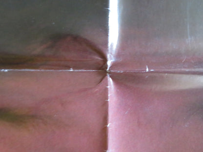 THE INDIAN IN THE CUPBOARD FOLDED US ONE SHEET POSTER HAL SCARDINO LITEFOOT 1995 Rendezvous Cinema Movie posters