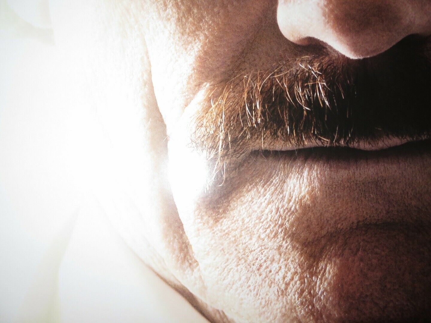 THE INFILTRATOR US ONE SHEET ROLLED POSTER BRYAN CRANSTON 2016 Movie posters