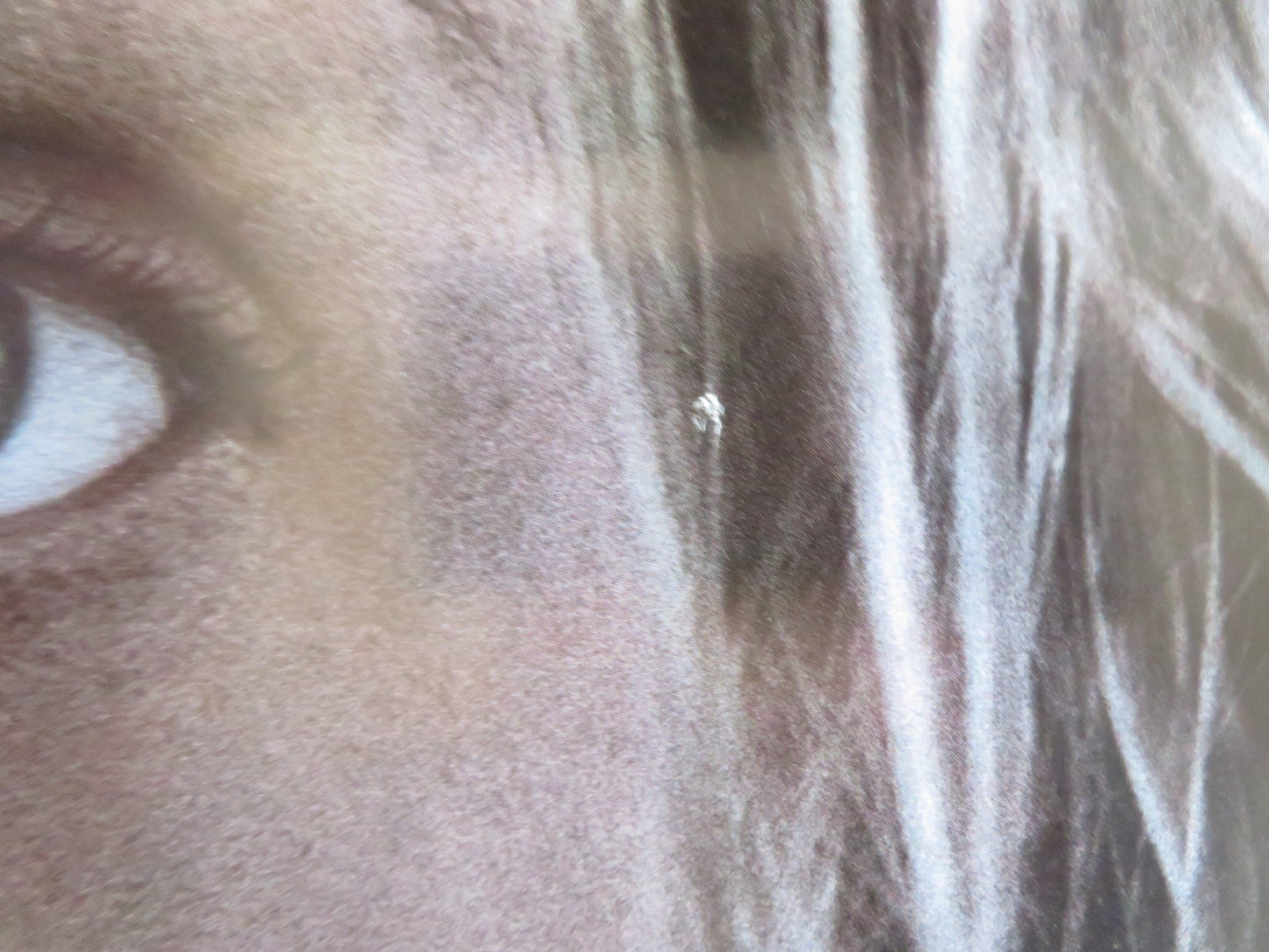 THE INVISIBLE MAN ITALIAN LOCANDINA POSTER ELISABETH MOSS O. JACKSON - COHEN 2020 Rendezvous Cinema Movie posters