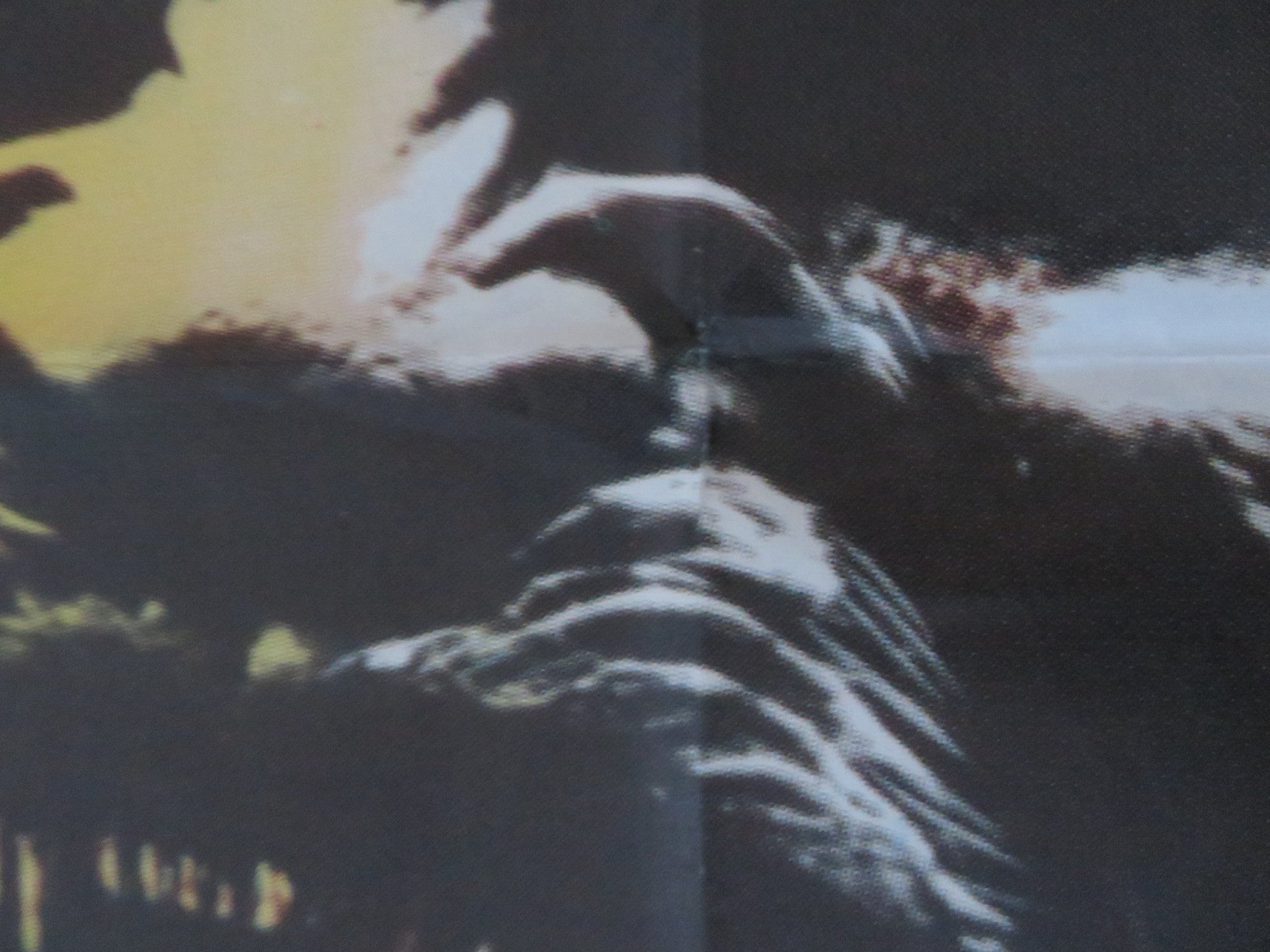 THE ISLAND OF DR. MOREAU ITALIAN 2 FOGLIO POSTER BURT LANCASTER M. YORK 1977 Rendezvous Cinema Movie posters