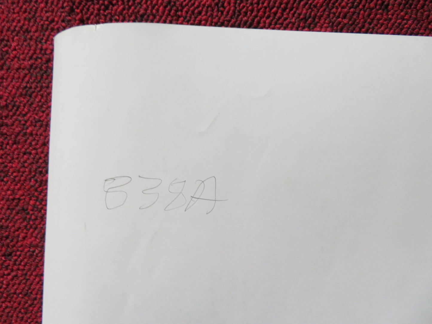 THE ISLANDS AND THE WHALES UK QUAD (30"x 40") ROLLED POSTER MIKE DAY 2016 Rendezvous Cinema Movie posters