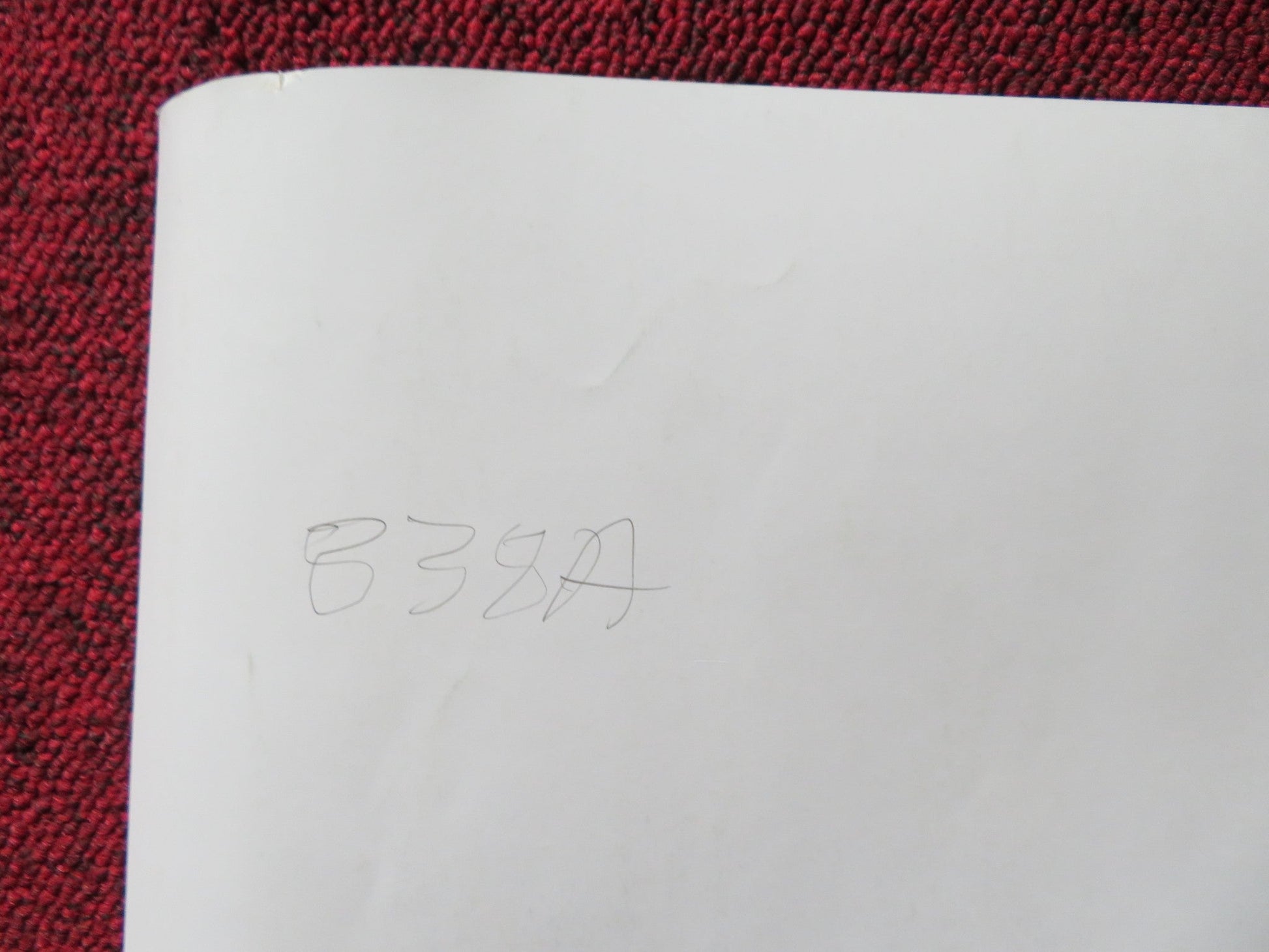 THE ISLANDS AND THE WHALES UK QUAD (30"x 40") ROLLED POSTER MIKE DAY 2016 Rendezvous Cinema Movie posters