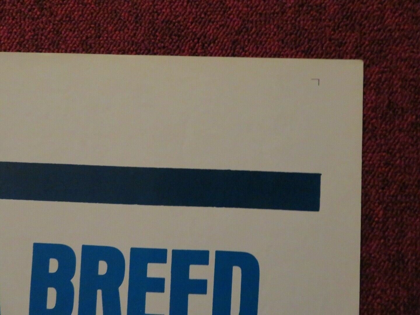 THE JACKALS FOLDED US ONE SHEET POSTER VINCENT PRICE DIANA IVARSON 1967 Movie posters