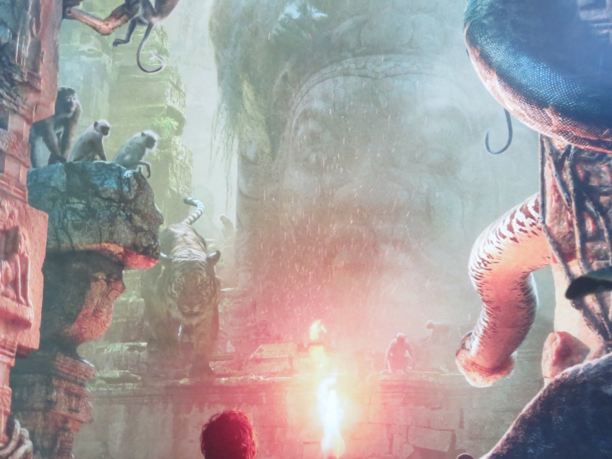 THE JUNGLE BOOK US ONE SHEET ROLLED POSTER BILL MURRAY BEN KINGSLEY 2016 Rendezvous Cinema Movie posters