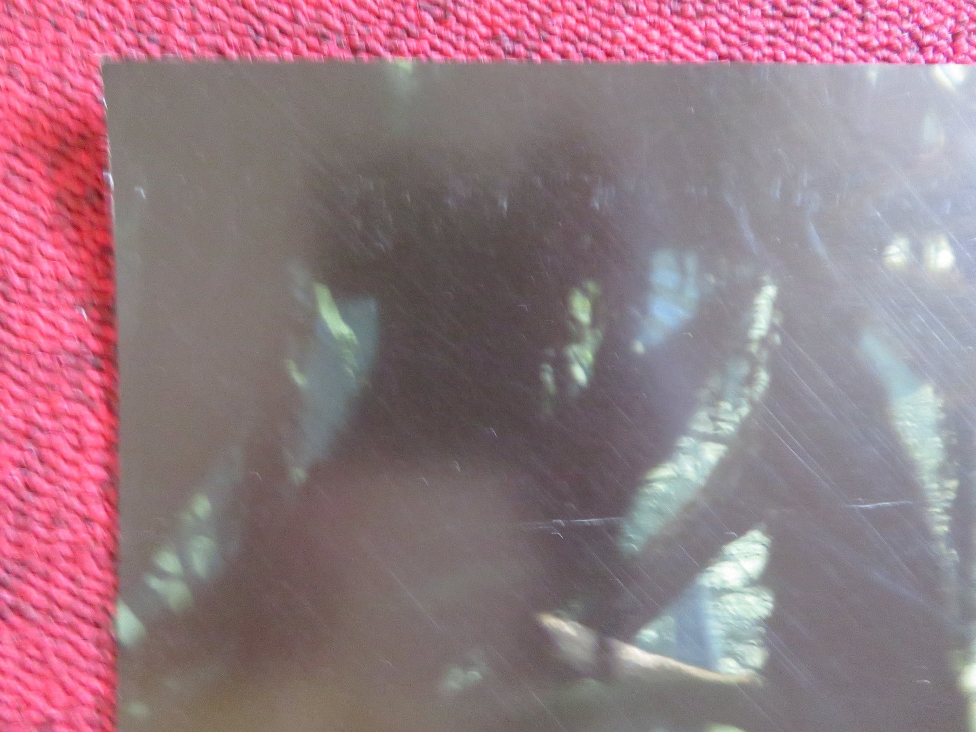 THE JUNGLE BOOK US ONE SHEET ROLLED POSTER BILL MURRAY BEN KINGSLEY 2016 Rendezvous Cinema Movie posters