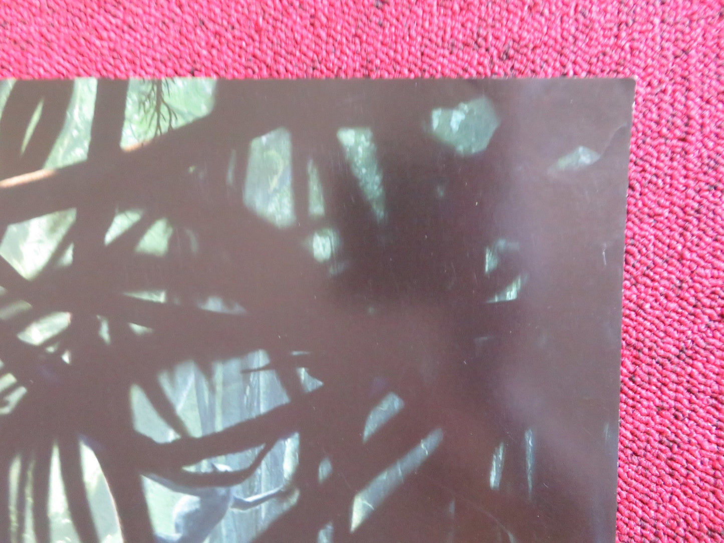 THE JUNGLE BOOK US ONE SHEET ROLLED POSTER BILL MURRAY BEN KINGSLEY 2016 Rendezvous Cinema Movie posters