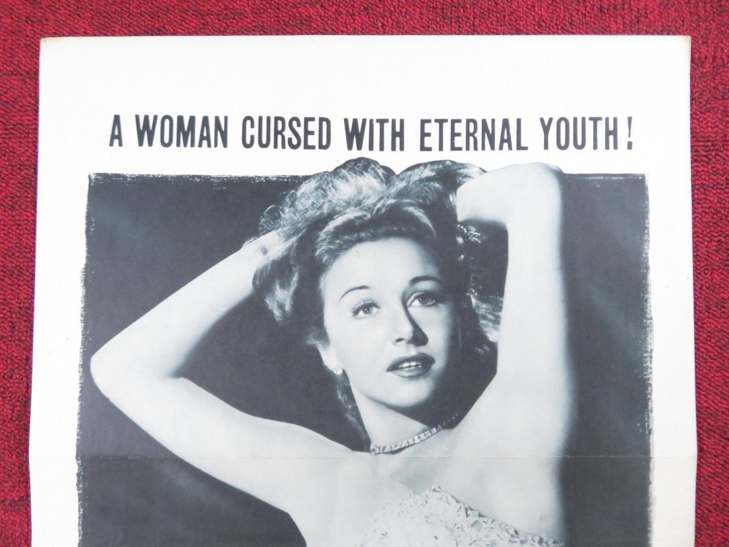 THE JUNGLE WILDERNESS US INSERT (14"x 36") POSTER GEORGE BRENT VERA RALSTON 1954 Rendezvous Cinema Movie posters