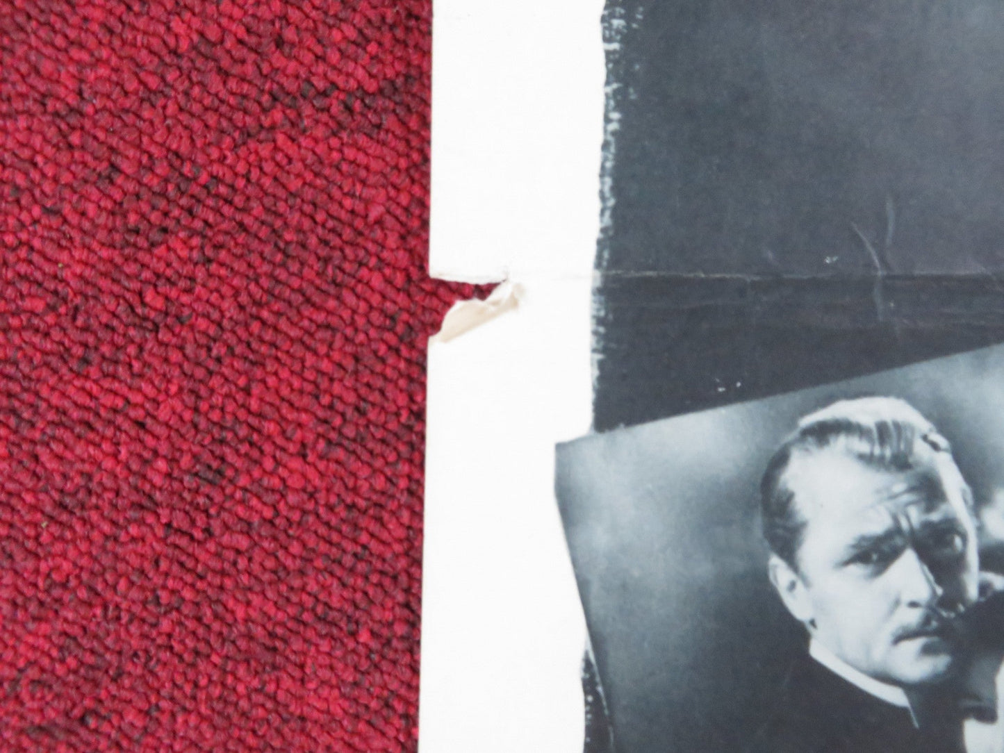 THE JUNGLE WILDERNESS US INSERT (14"x 36") POSTER GEORGE BRENT VERA RALSTON 1954 Rendezvous Cinema Movie posters