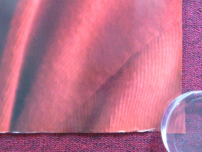 THE KID WITH A BIKE UK QUAD ROLLED POSTER THOMAS DORET CECILE DE FRANCE 2011 Rendezvous Cinema Movie posters