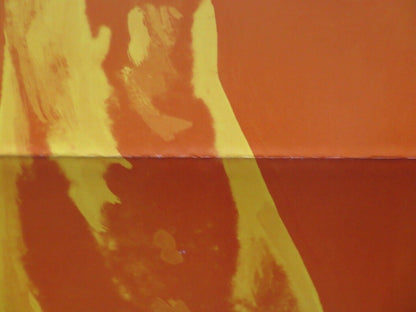 THE KID WITH THE GOLDEN ARM - KUNG FU US ONE SHEET ROLLED POSTER 1979 Movie posters