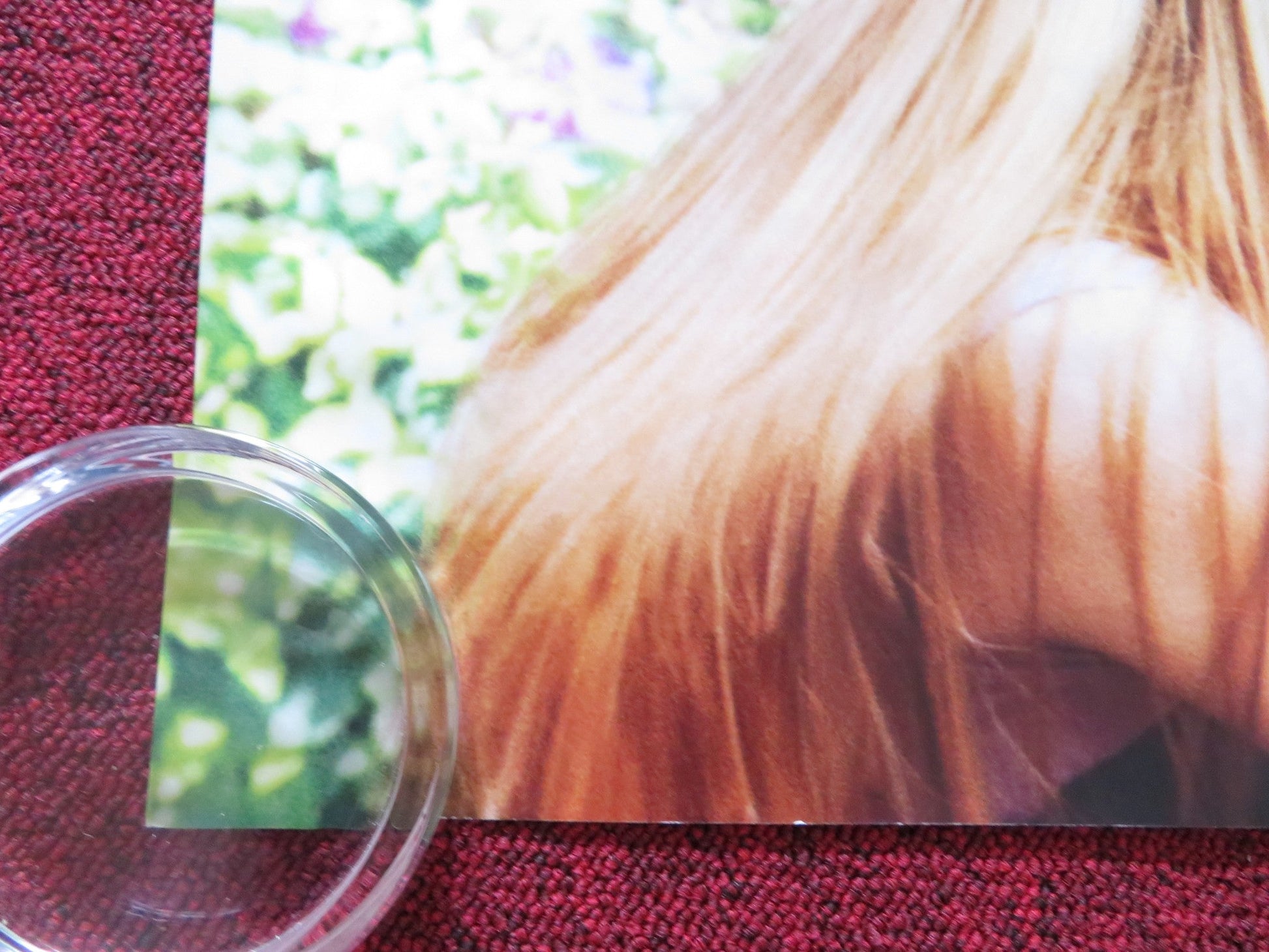 THE KIDS ARE ALL RIGHT UK QUAD ROLLED POSTER JULIANNE MOORE ANNETTE BENING 2010 Rendezvous Cinema Movie posters