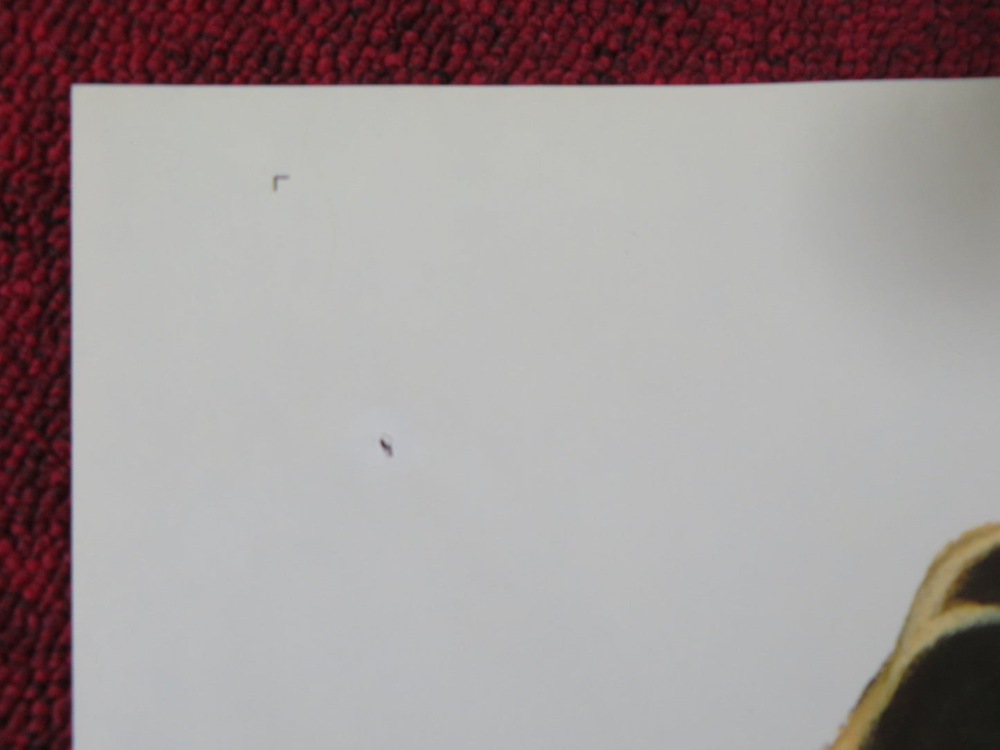 THE KILLING KIND FOLDED US ONE SHEET POSTER ANN SOTHERN JOHN SAVAGE 1973 Rendezvous Cinema Movie posters