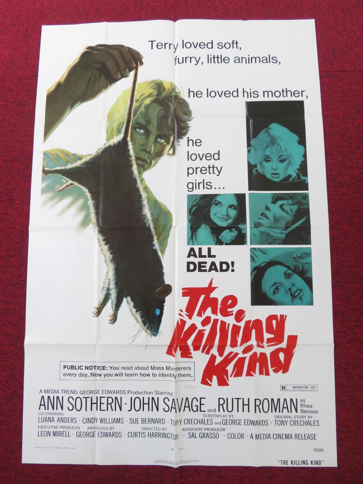 THE KILLING KIND FOLDED US ONE SHEET POSTER ANN SOTHERN JOHN SAVAGE 1973 Rendezvous Cinema Movie posters