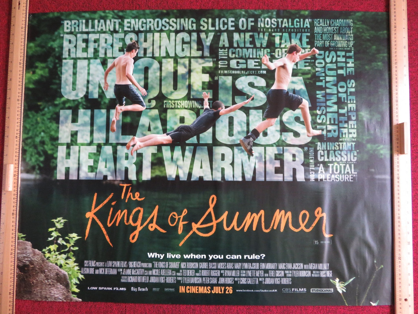 THE KINGS OF SUMMER UK QUAD (30"x 40") ROLLED POSTER NICK ROBINSON G. BASSO 2013 Rendezvous Cinema Movie posters