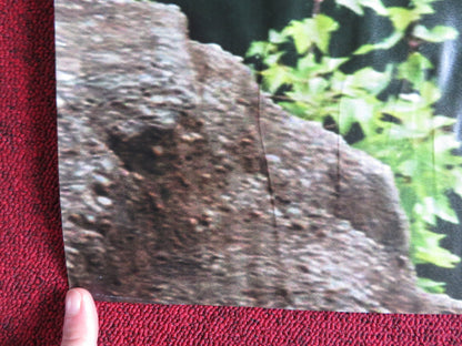 THE KINGS OF SUMMER UK QUAD (30"x 40") ROLLED POSTER NICK ROBINSON G. BASSO 2013 Rendezvous Cinema Movie posters