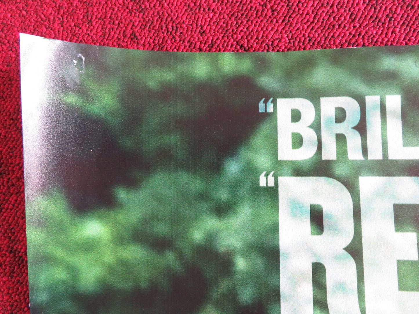 THE KINGS OF SUMMER UK QUAD (30"x 40") ROLLED POSTER NICK ROBINSON G. BASSO 2013 Rendezvous Cinema Movie posters