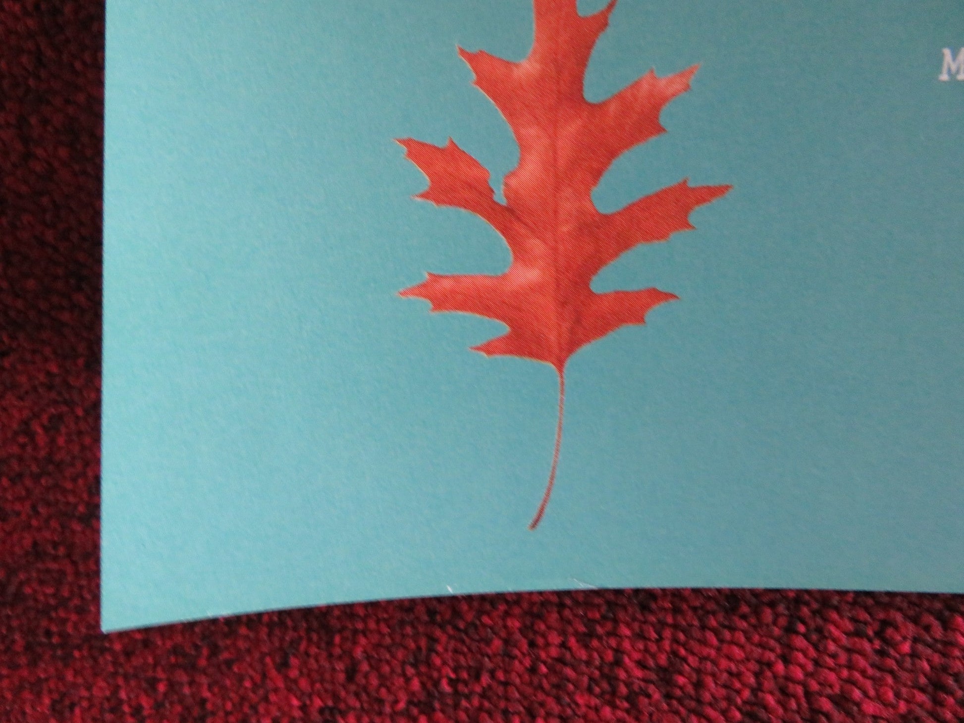 THE LADY IN THE VAN UK QUAD (30"x 40") ROLLED POSTER MAGGIE SMITH 2015 Rendezvous Cinema Movie posters