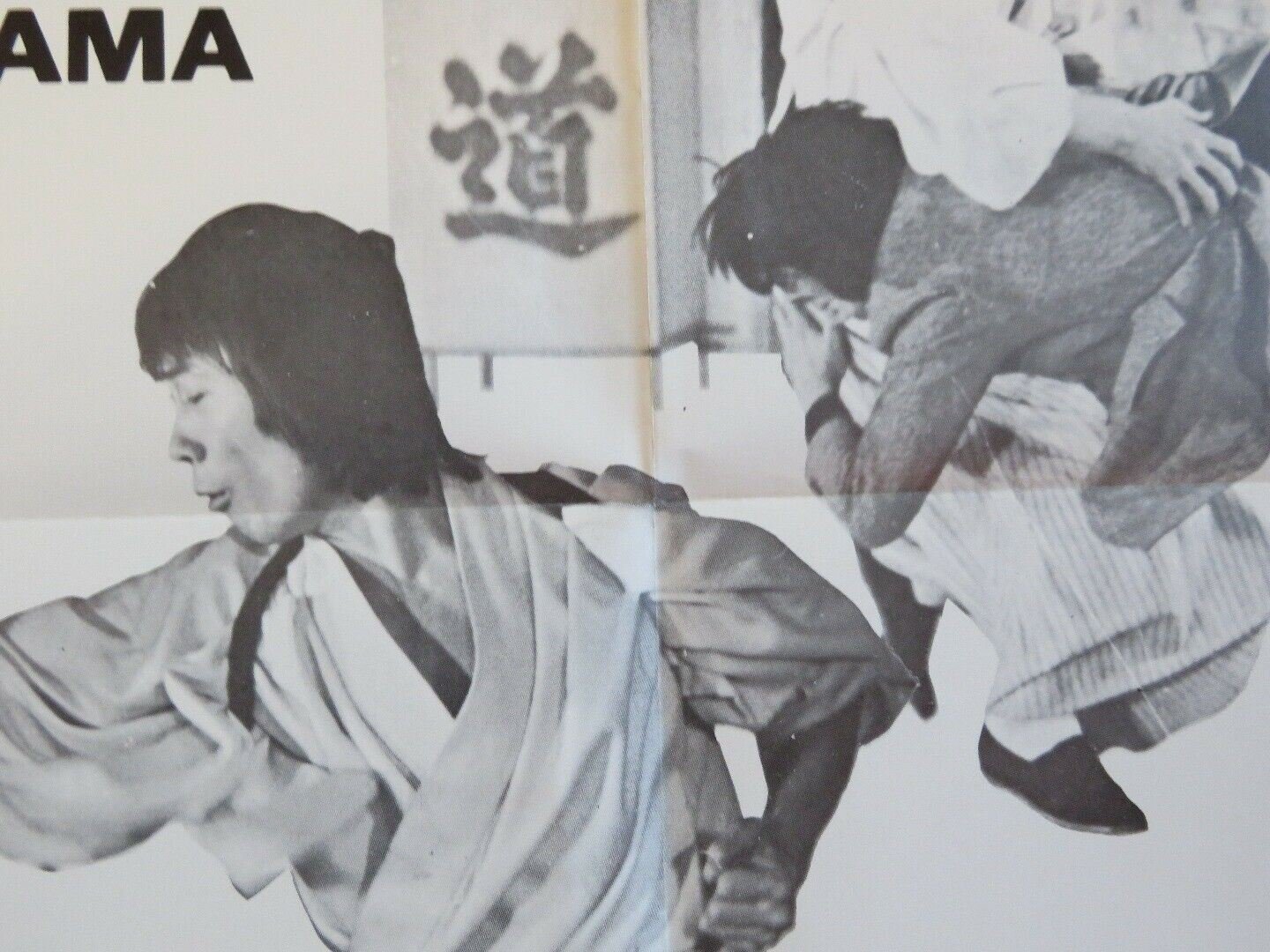 THE LAST CHALLENGE OF THE DRAGON KUNG FU US ONE SHEET POSTER 1976 Movie posters