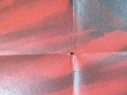 THE LAST OF THE VIKINGS ITALIAN 2 FOGLIO POSTER CAMERON MITCHELL E.PURDOM 1961 Rendezvous Cinema Movie posters