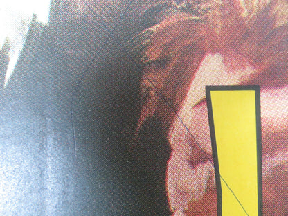 THE LAST OF THE VIKINGS ITALIAN 2 FOGLIO POSTER CAMERON MITCHELL E.PURDOM 1961 Rendezvous Cinema Movie posters