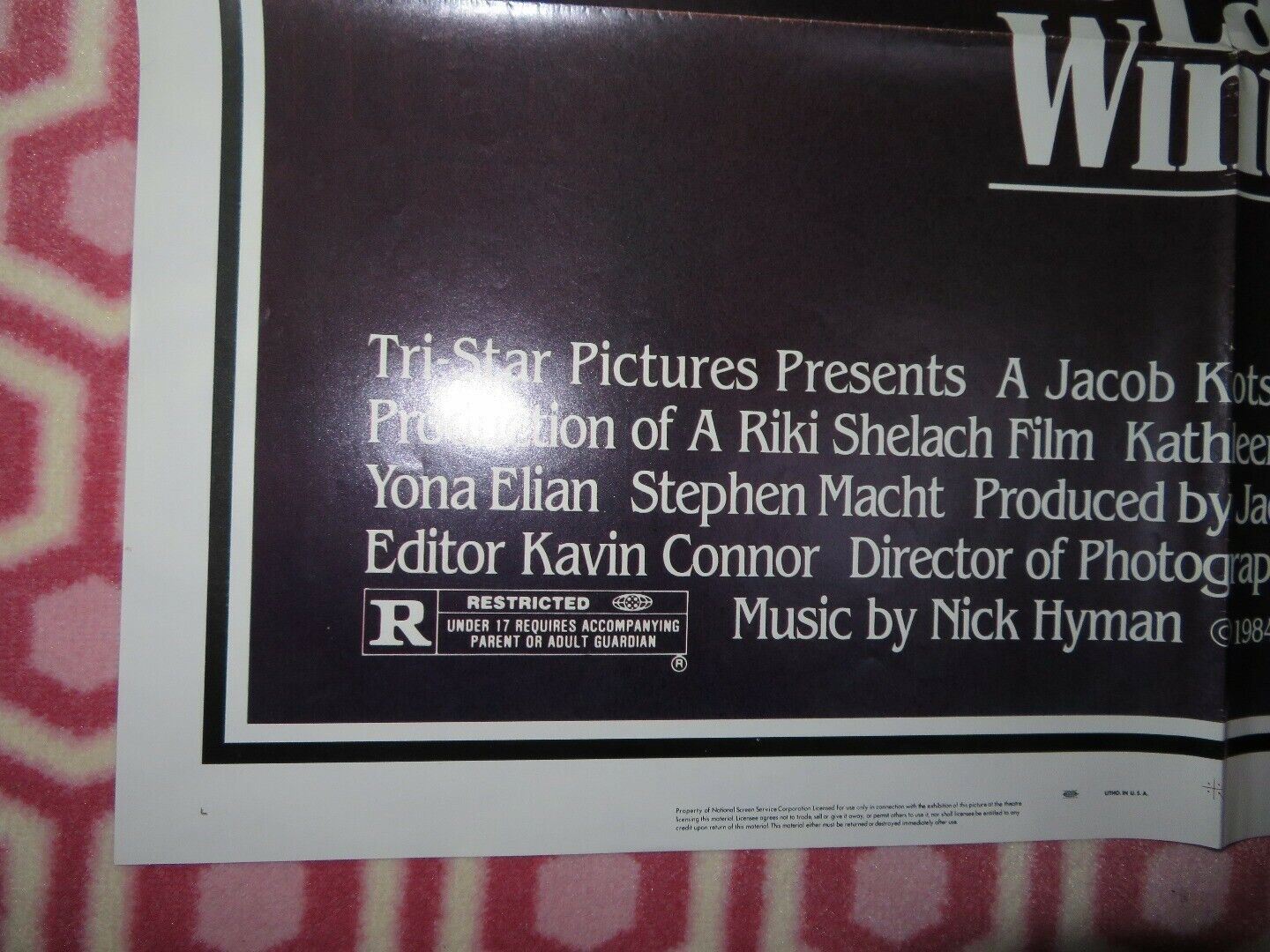 THE LAST WINTER US ONE SHEET POSTER KATHLEEN QUINLAN YONA ELIAN 1984 Movie posters