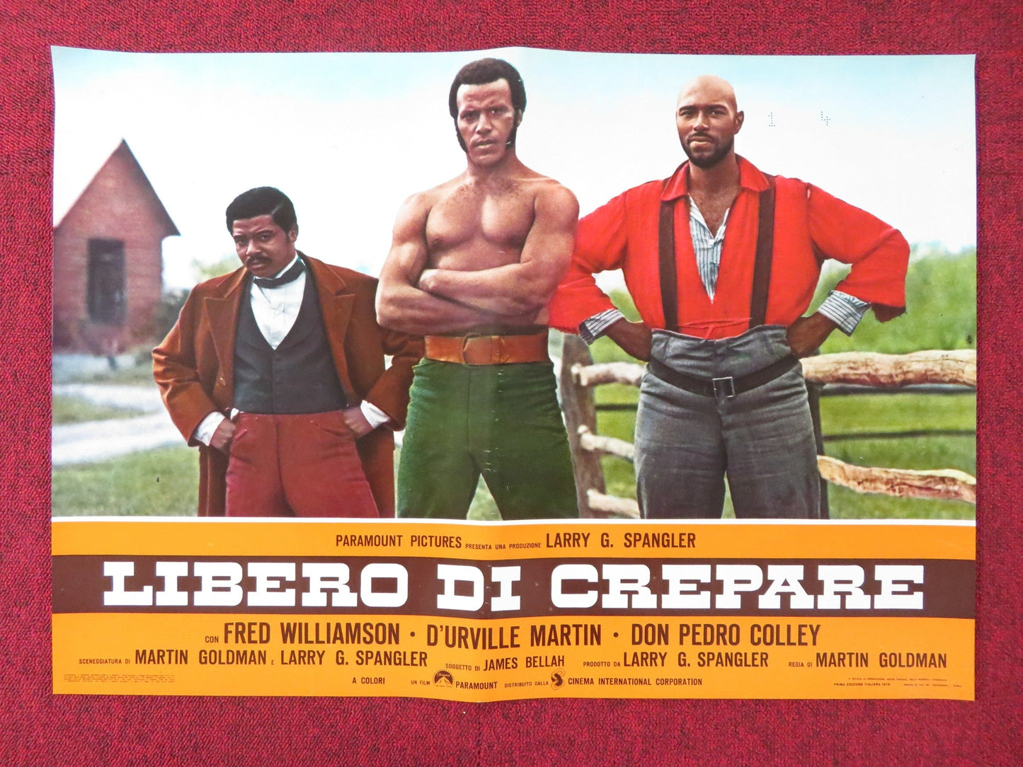 THE LEGEND OF BLACK CHARLEY - A ITALIAN FOTOBUSTA POSTER FRED WILLIAMSON 1973 Rendezvous Cinema Movie posters