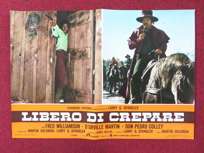 THE LEGEND OF BLACK CHARLEY - B ITALIAN FOTOBUSTA POSTER FRED WILLIAMSON 1973 Rendezvous Cinema Movie posters