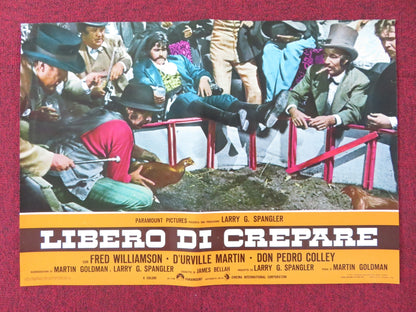 THE LEGEND OF BLACK CHARLEY - C ITALIAN FOTOBUSTA POSTER FRED WILLIAMSON 1973 Rendezvous Cinema Movie posters