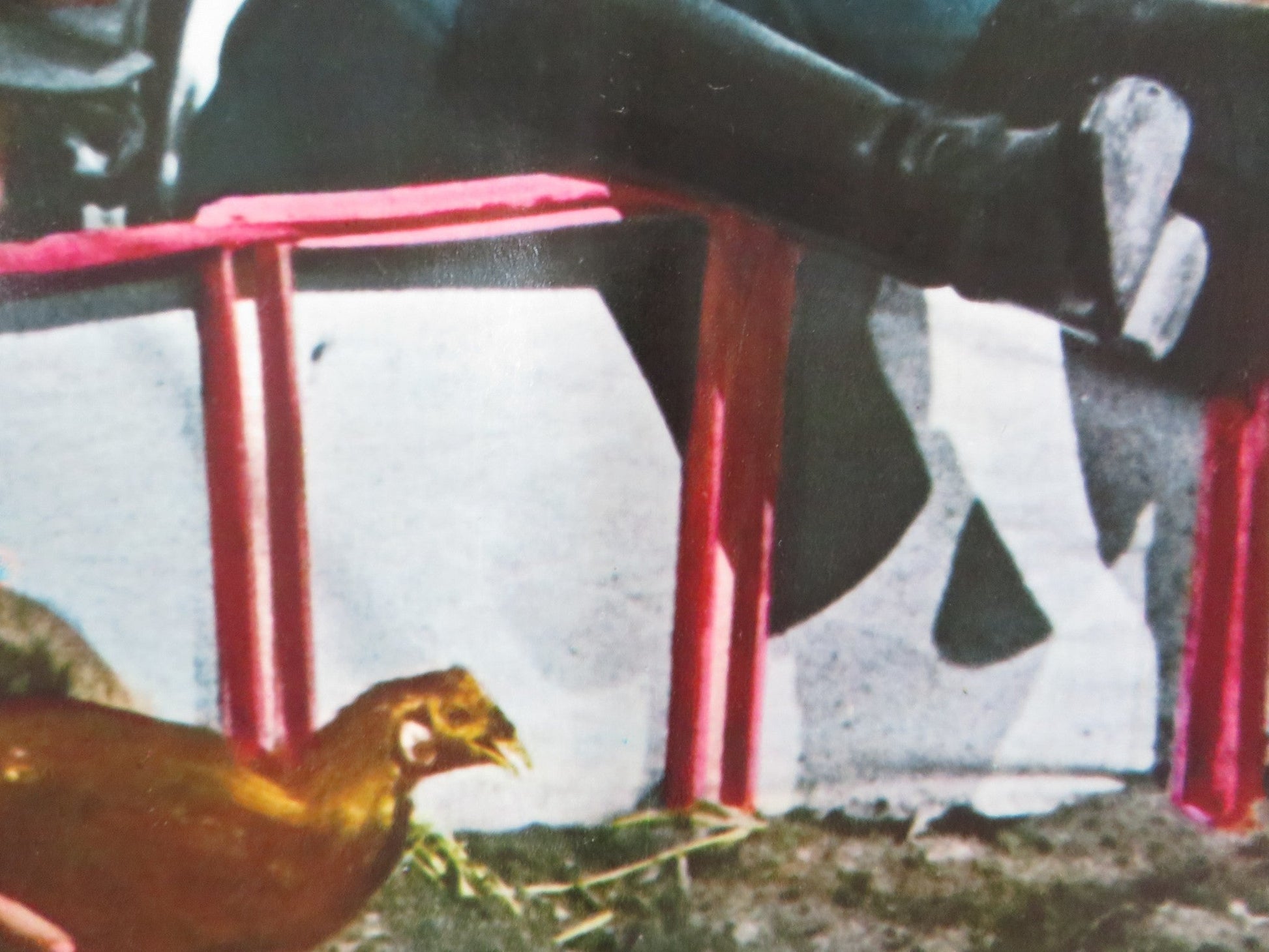 THE LEGEND OF BLACK CHARLEY - C ITALIAN FOTOBUSTA POSTER FRED WILLIAMSON 1973 Rendezvous Cinema Movie posters