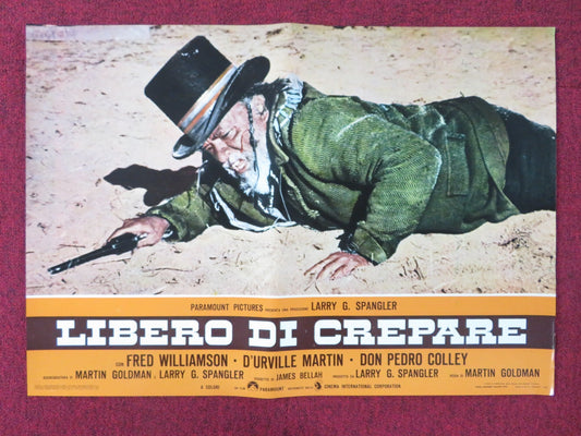 THE LEGEND OF BLACK CHARLEY - E ITALIAN FOTOBUSTA POSTER FRED WILLIAMSON 1973 Rendezvous Cinema Movie posters