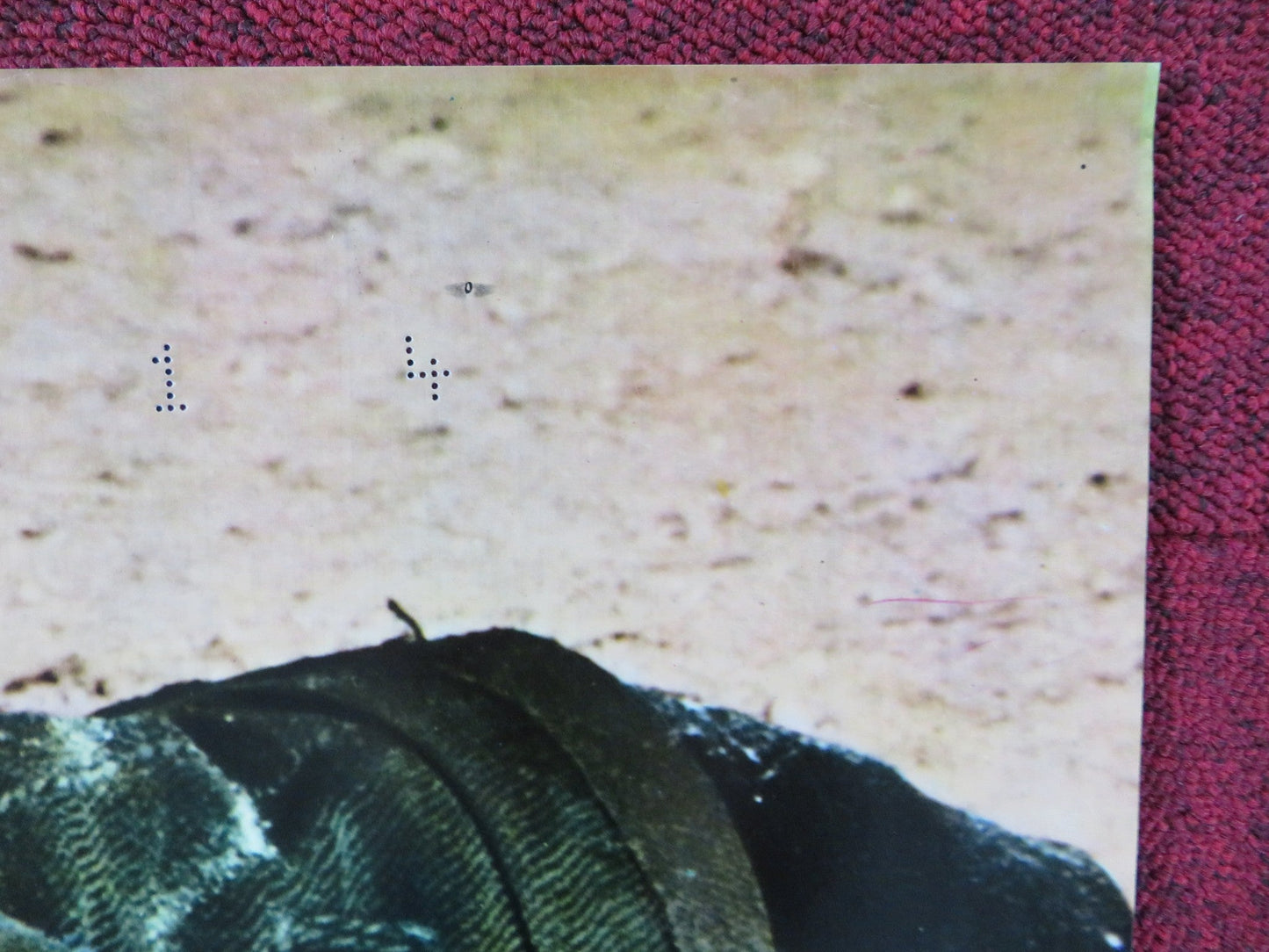 THE LEGEND OF BLACK CHARLEY - E ITALIAN FOTOBUSTA POSTER FRED WILLIAMSON 1973 Rendezvous Cinema Movie posters