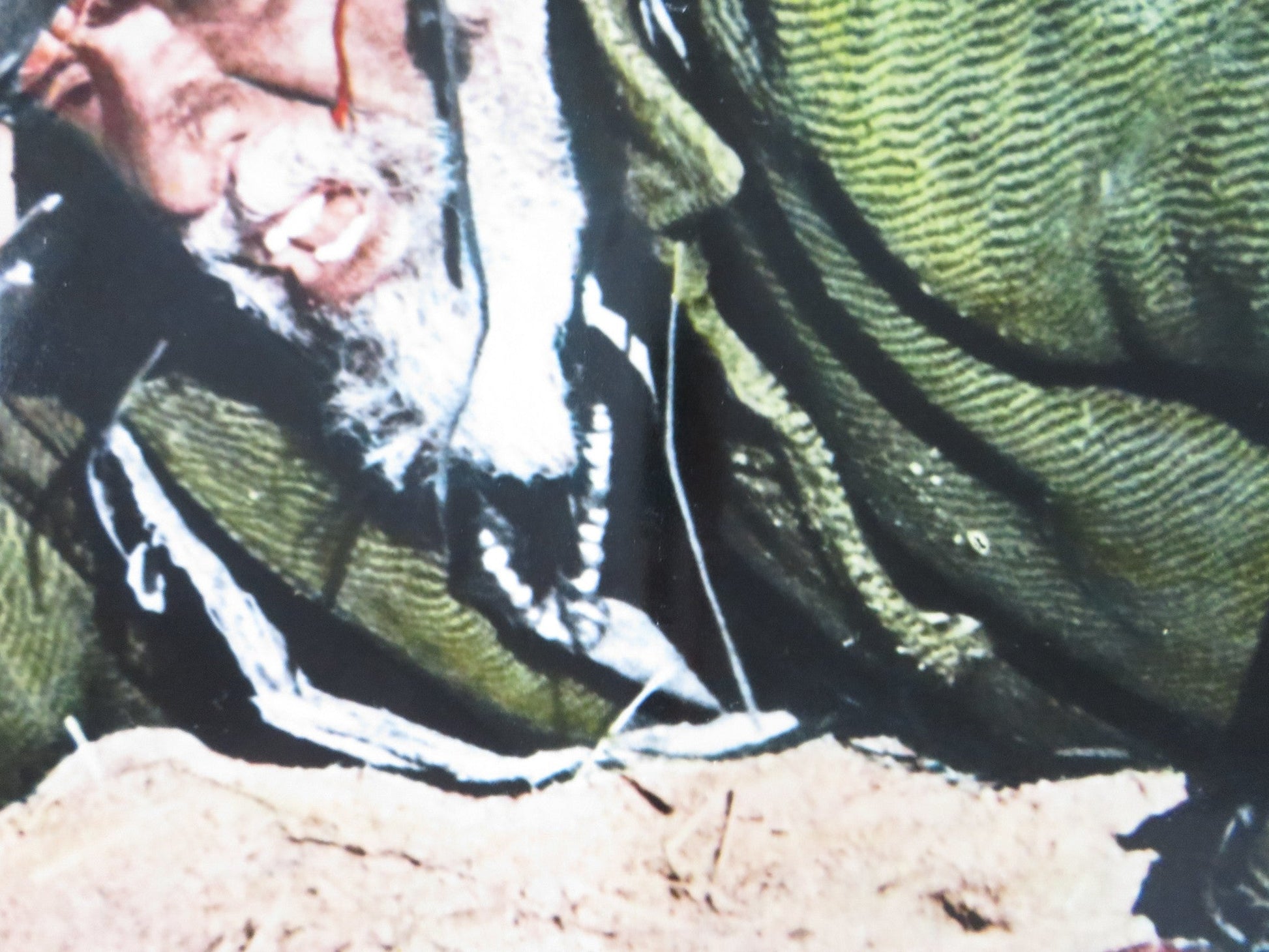 THE LEGEND OF BLACK CHARLEY - E ITALIAN FOTOBUSTA POSTER FRED WILLIAMSON 1973 Rendezvous Cinema Movie posters