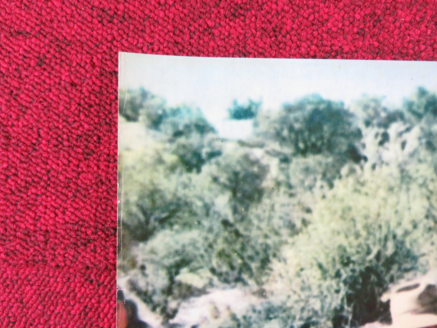 THE LEGEND OF BLACK CHARLEY - F ITALIAN FOTOBUSTA POSTER FRED WILLIAMSON 1973 Rendezvous Cinema Movie posters