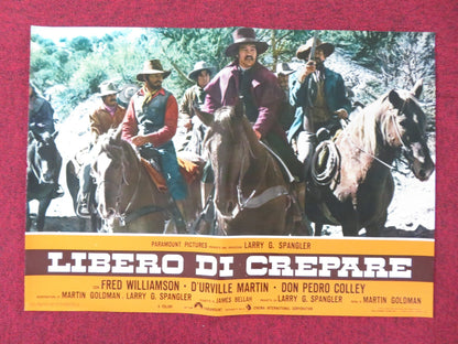 THE LEGEND OF BLACK CHARLEY - F ITALIAN FOTOBUSTA POSTER FRED WILLIAMSON 1973 Rendezvous Cinema Movie posters