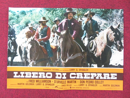 THE LEGEND OF BLACK CHARLEY - F ITALIAN FOTOBUSTA POSTER FRED WILLIAMSON 1973 Rendezvous Cinema Movie posters