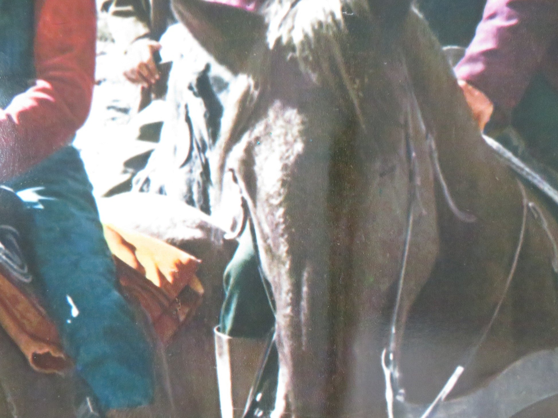 THE LEGEND OF BLACK CHARLEY - F ITALIAN FOTOBUSTA POSTER FRED WILLIAMSON 1973 Rendezvous Cinema Movie posters