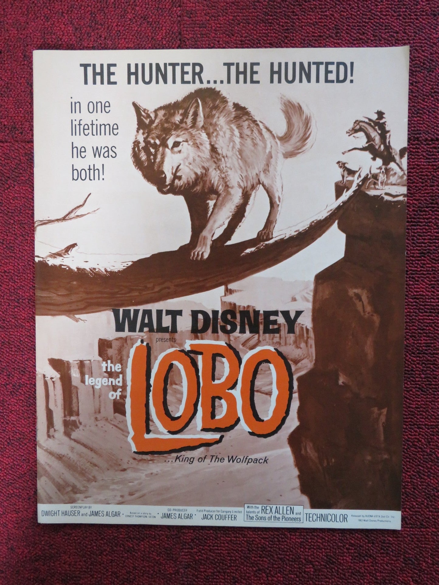 THE LEGEND OF LOBO - PRESSBOOK UNCUT BUENA VISTA DISNEY REX ALLEN 1962 Rendezvous Cinema Movie posters