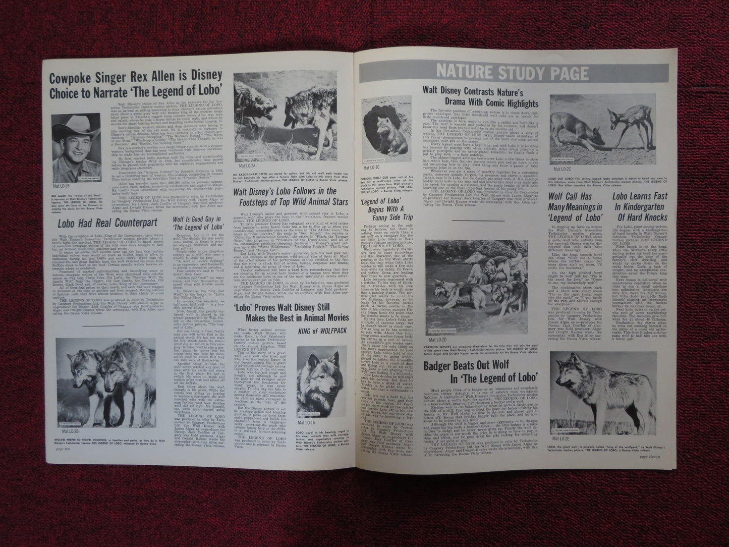 THE LEGEND OF LOBO - PRESSBOOK UNCUT BUENA VISTA DISNEY REX ALLEN 1962 Rendezvous Cinema Movie posters