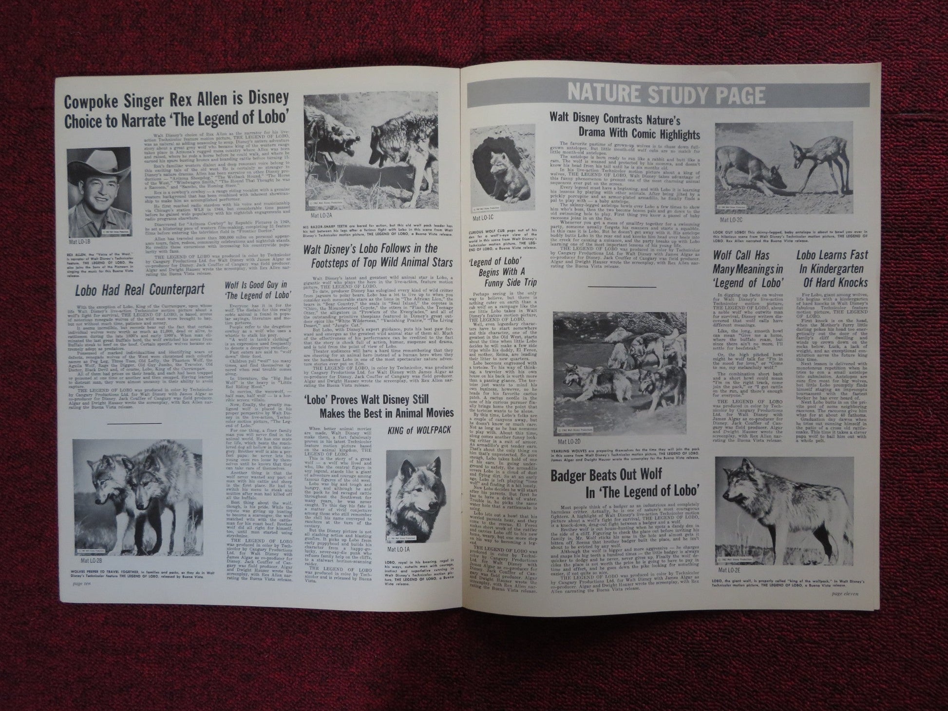 THE LEGEND OF LOBO - PRESSBOOK UNCUT BUENA VISTA DISNEY REX ALLEN 1962 Rendezvous Cinema Movie posters