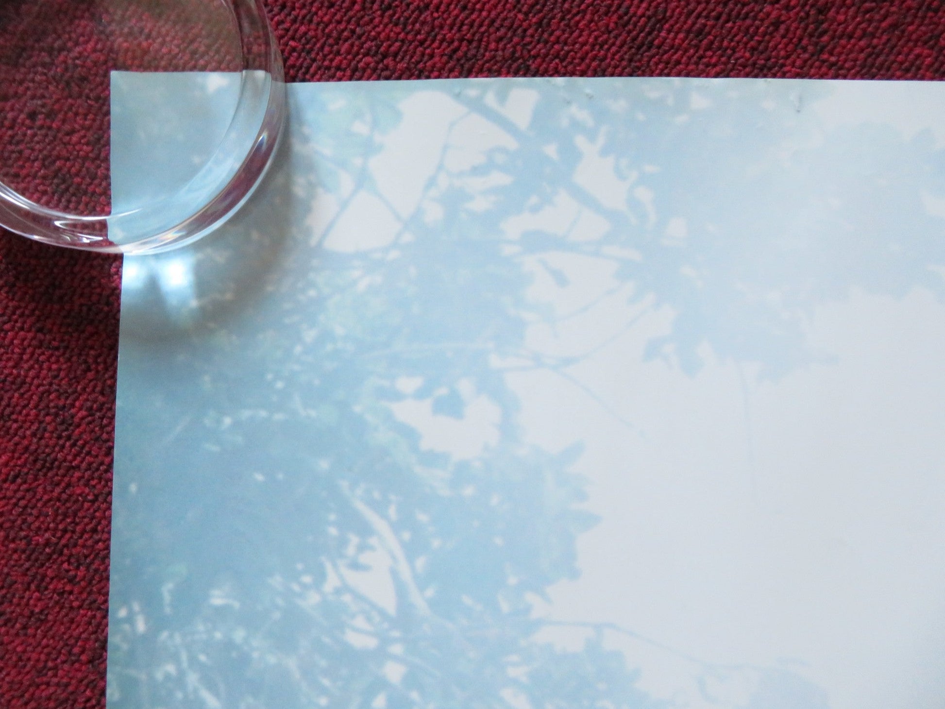 THE LEGEND OF TARZAN UK QUAD (30"x 40") ROLLED POSTER ALEXANDER SKARSGARD 2016 Rendezvous Cinema Movie posters