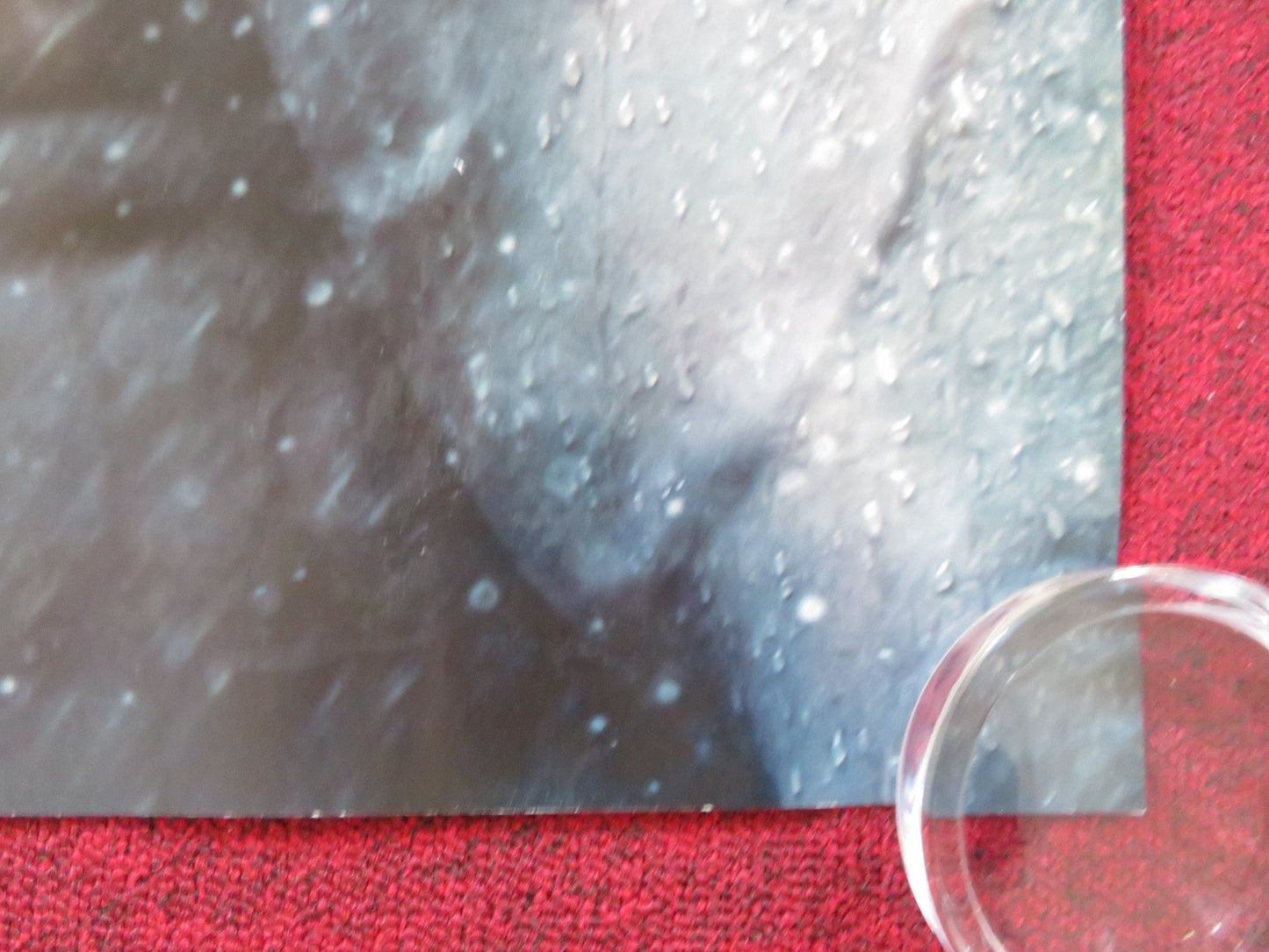 THE LEGEND OF TARZAN UK QUAD (30"x 40") ROLLED POSTER ALEXANDER SKARSGARD 2016 Rendezvous Cinema Movie posters