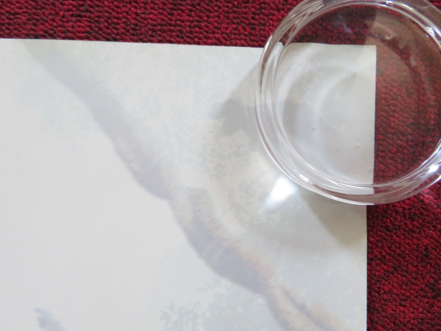 THE LEGEND OF TARZAN UK QUAD (30"x 40") ROLLED POSTER ALEXANDER SKARSGARD 2016 Rendezvous Cinema Movie posters