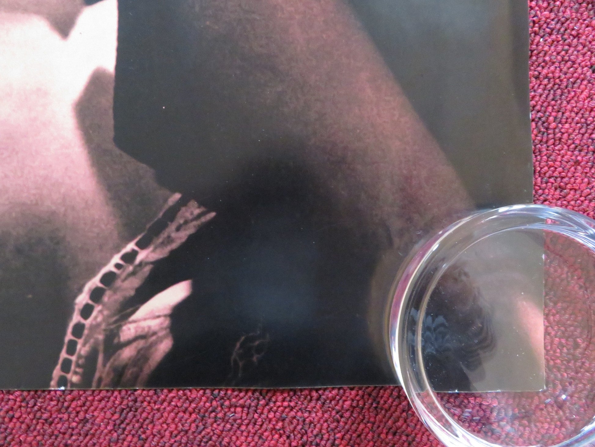 THE LEOPARD UK QUAD (30"x 40") ROLLED POSTER CLAUDIA CARDINALE B. LANCASTER 2010 Rendezvous Cinema Movie posters