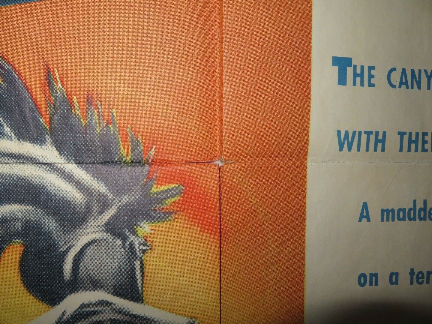 THE LION AND THE HORSE FOLDED US ONE SHEET POSTER STEVE COCHRAN 1952 Movie posters