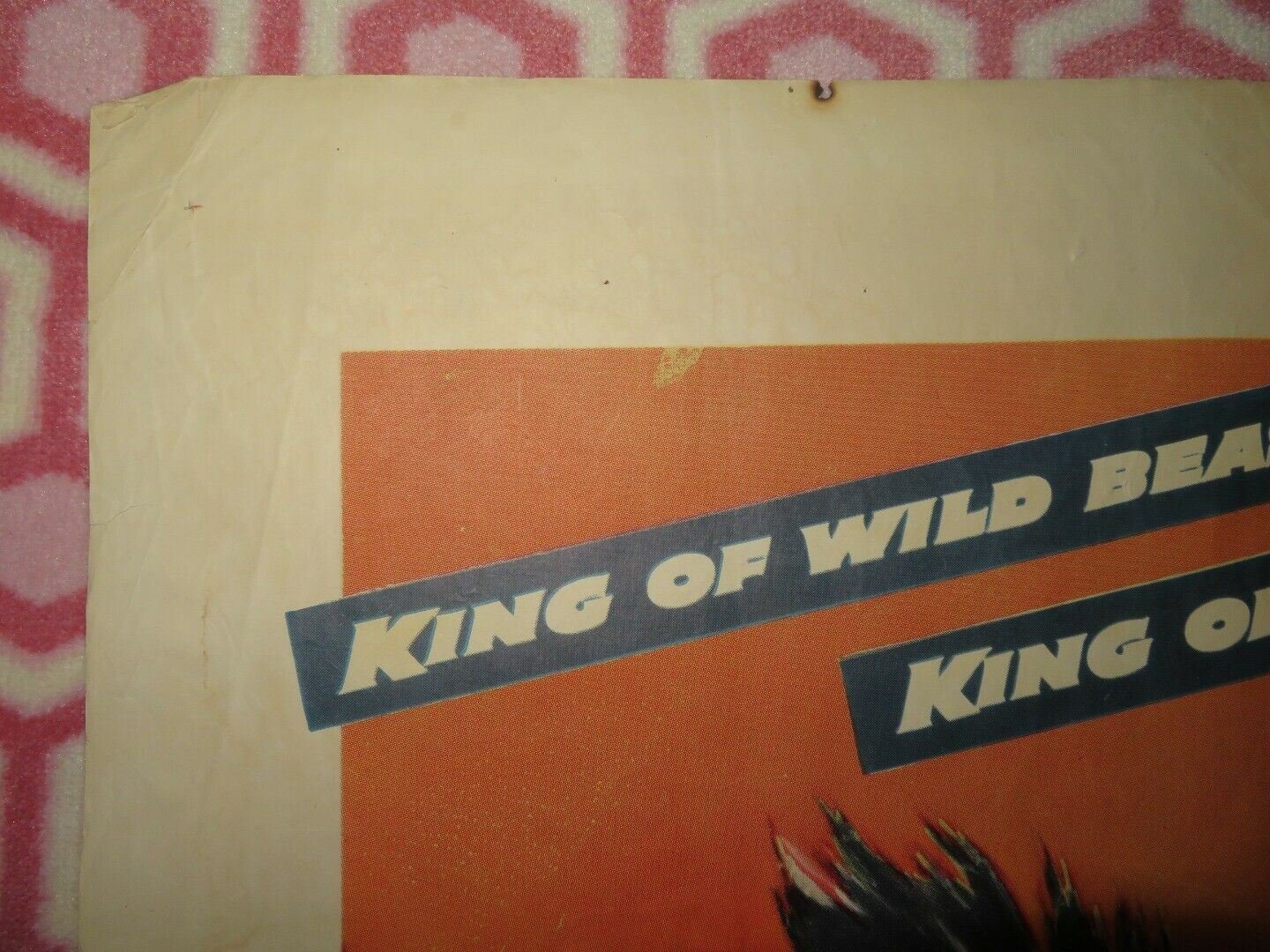 THE LION AND THE HORSE FOLDED US ONE SHEET POSTER STEVE COCHRAN 1952 Movie posters