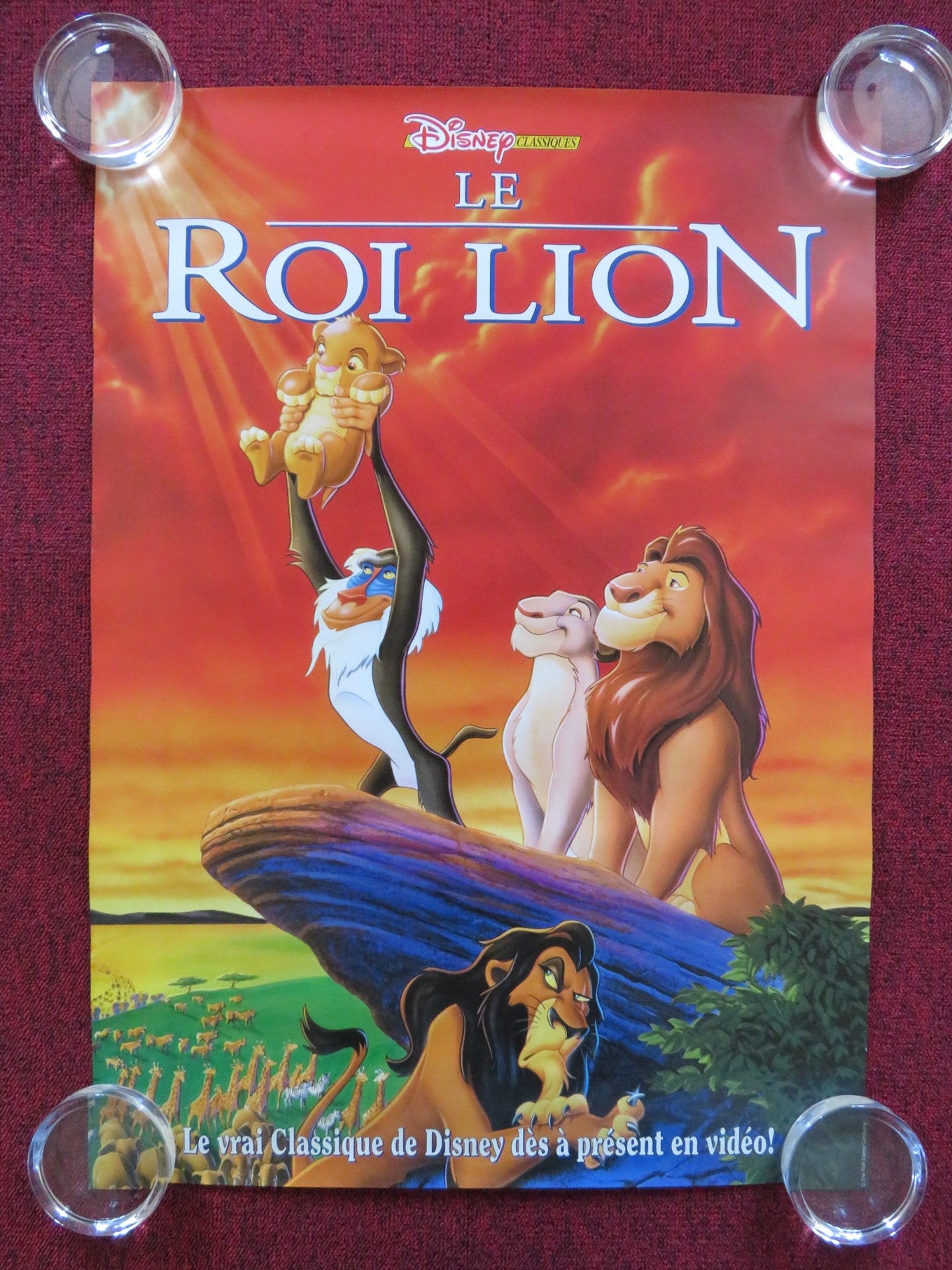 THE LION KING FRENCH VHS VIDEO POSTER DISNEY MATTHEW BRODERICK 1994 Rendezvous Cinema Movie posters