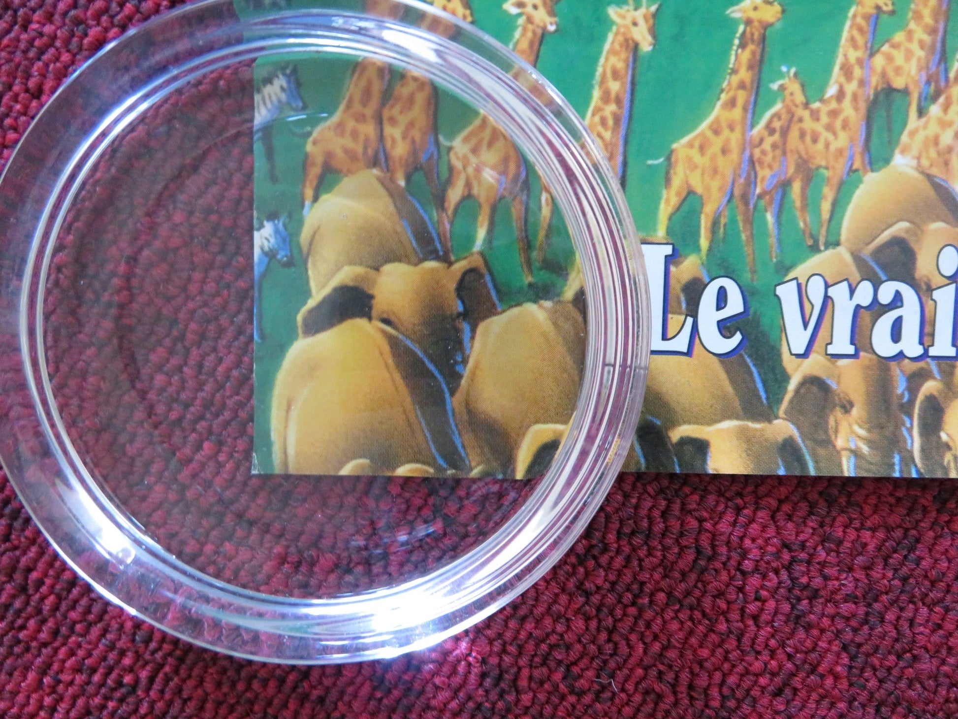 THE LION KING FRENCH VHS VIDEO POSTER DISNEY MATTHEW BRODERICK 1994 Rendezvous Cinema Movie posters