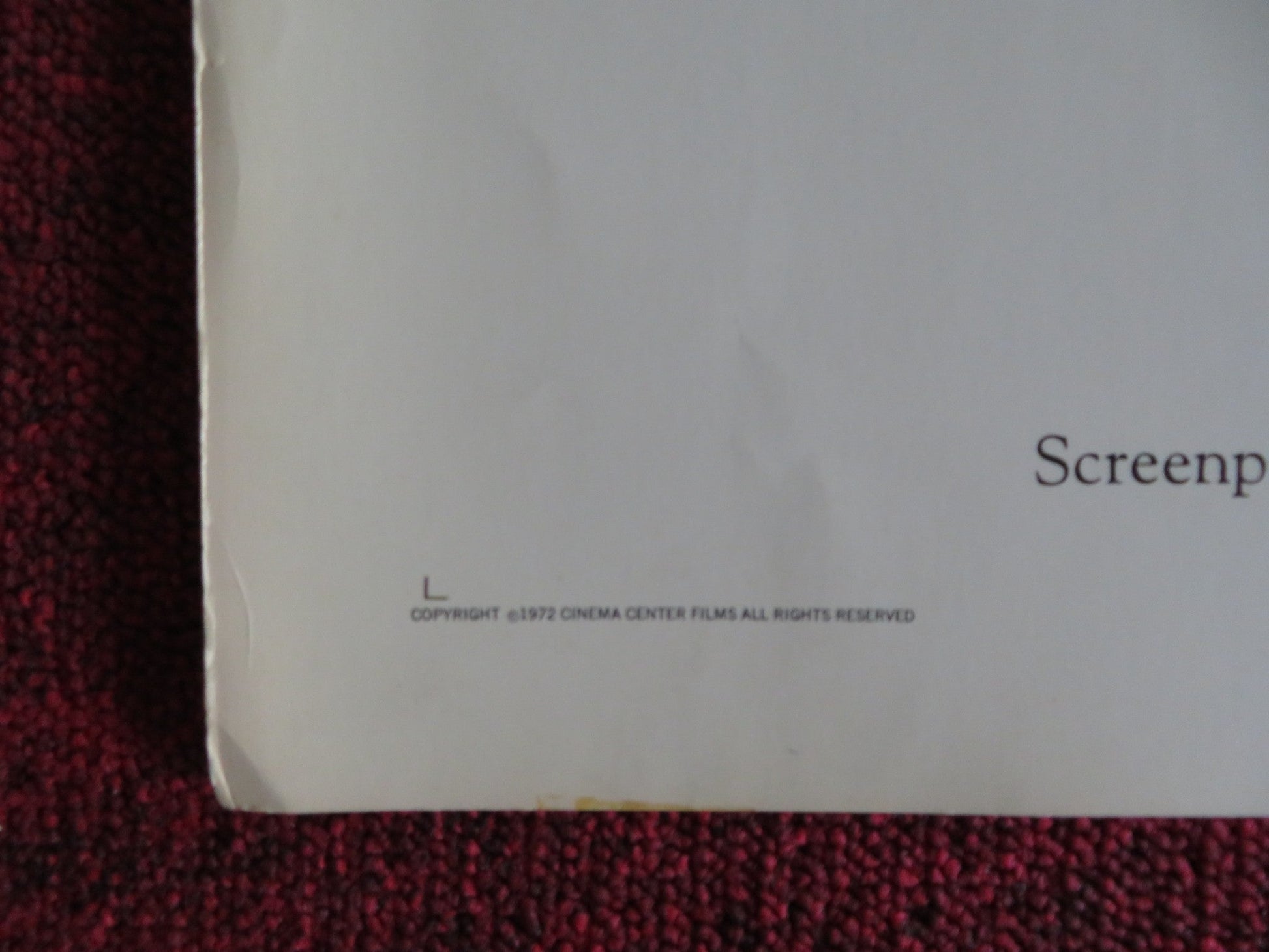 THE LITTLE ARK US HALF SHEET (22"x 28") POSTER THEODORE BIKEL GENNY AMBAS 1972 Rendezvous Cinema Movie posters