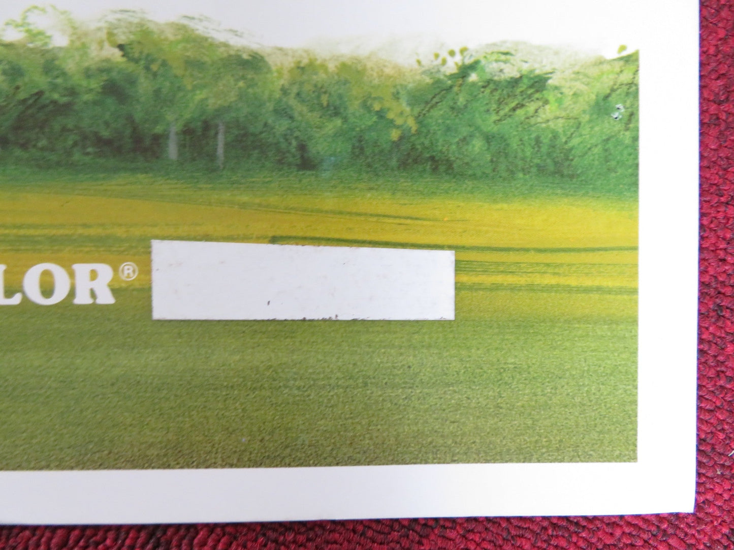 THE LITTLEST HORSE THIEVES US HALF SHEET (22"x 28") POSTER ALASTAIR SIM 1976 Rendezvous Cinema Movie posters