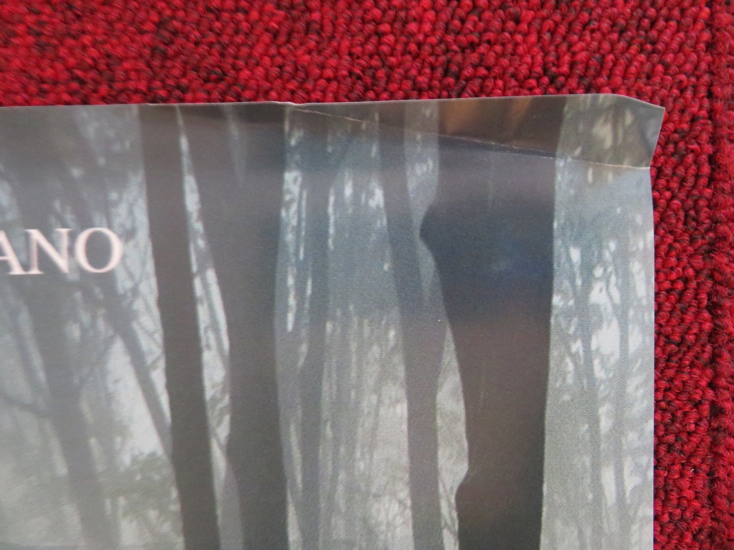 THE LODGERS ITALIAN LOCANDINA POSTER CHARLOTTE VEGA BILL MILNER 2017 Rendezvous Cinema Movie posters